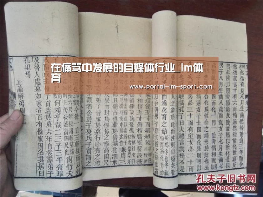 im体育公司