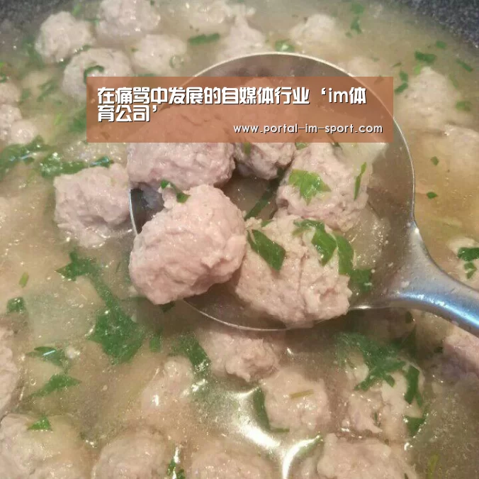 在痛骂中发展的自媒体行业‘im体育公司’(图2) im体育公司
