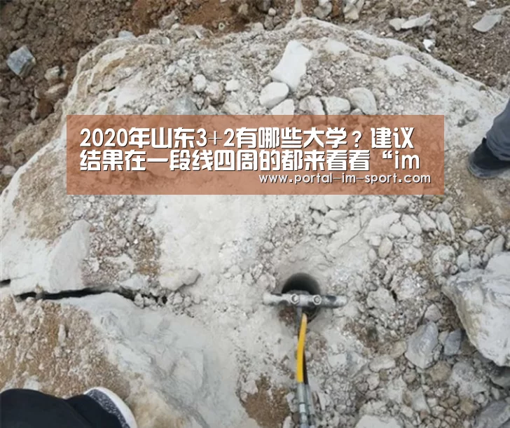 im体育公司
