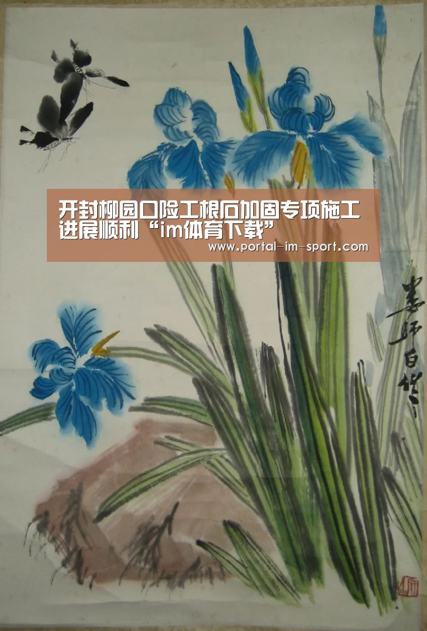 im体育下载