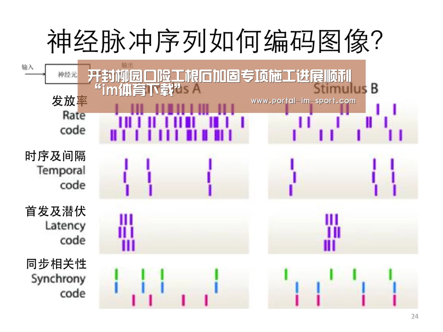 im体育