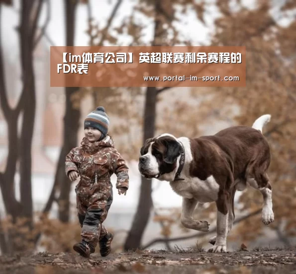 im体育公司