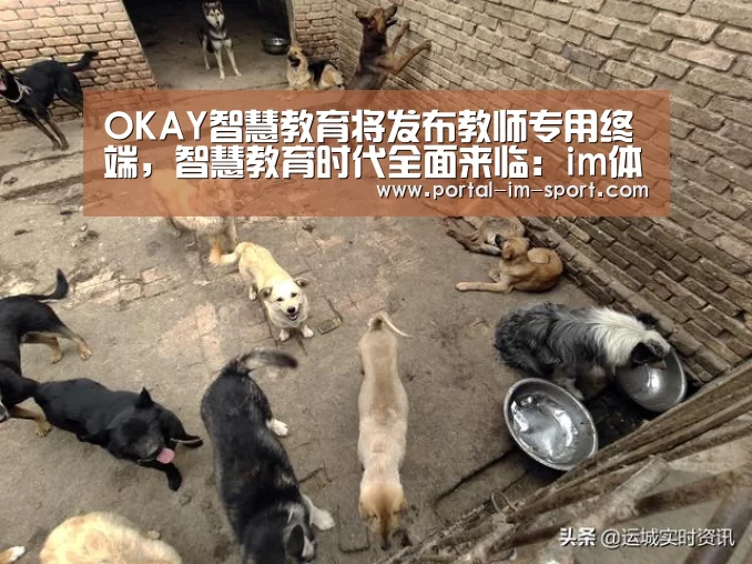 im体育公司