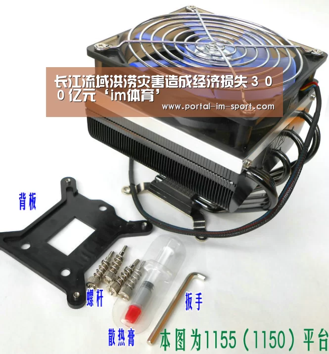 im体育公司