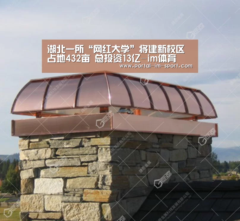im体育公司