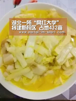 im体育